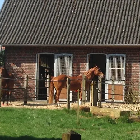 Apartmán Gaestehaus Peerhus Doensel - Peerknecht