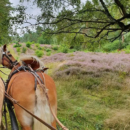 Gaestehaus Peerhus Doensel - Peerknecht Apartmán *