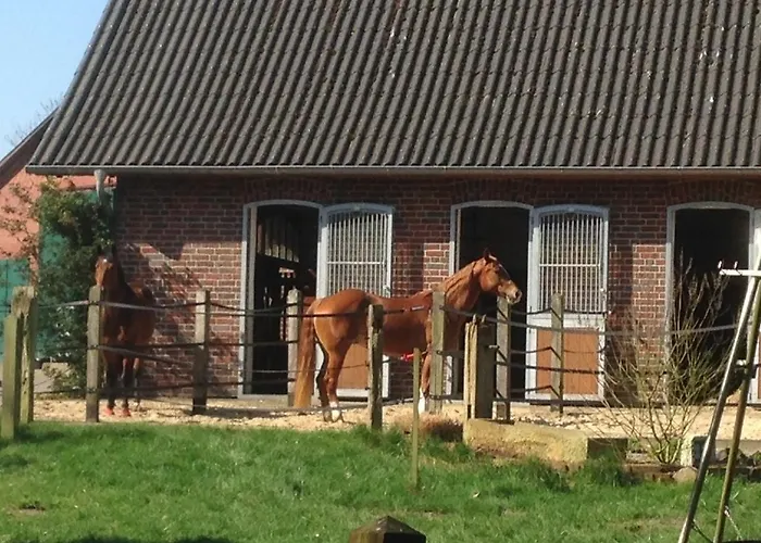 Apartment Peerhus Dönsel - Peerknecht