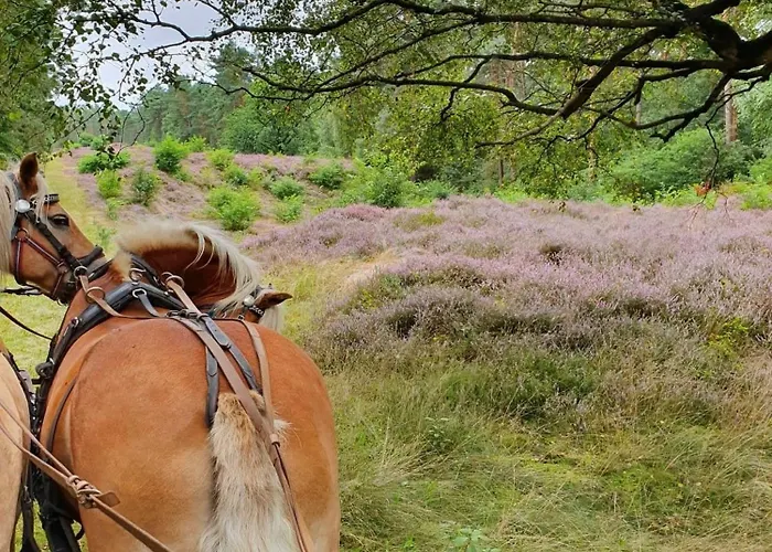 Peerhus Dönsel - Peerknecht Apartment *